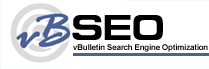 vBSEO